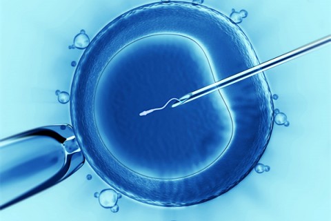 http://nanning.vdtfzz.com/post/198.html|南宁代生助孕