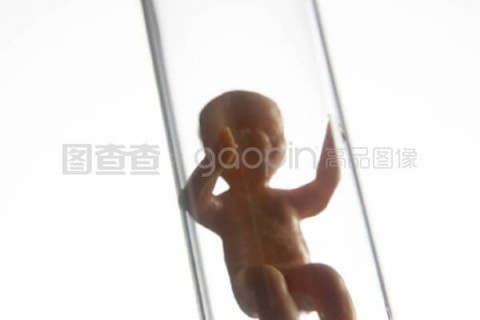http://nanning.vdtfzz.com/post/197.html|南宁试管助孕