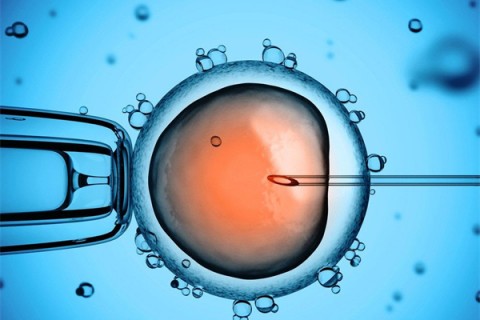 http://nanning.vdtfzz.com/post/206.html|南宁新闻中心